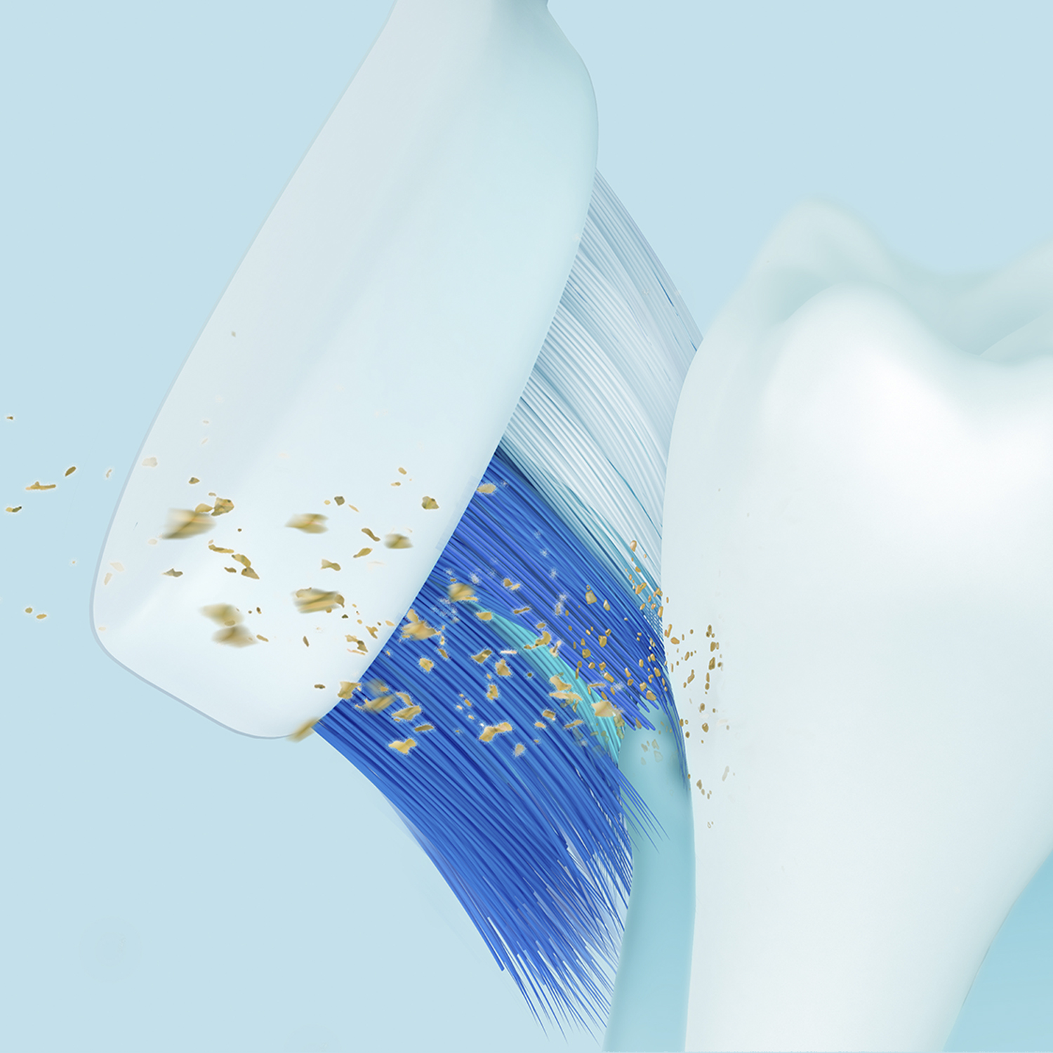 Panasonic EW-DC12 Electric Toothbrush with Horizontal Bristle Motion