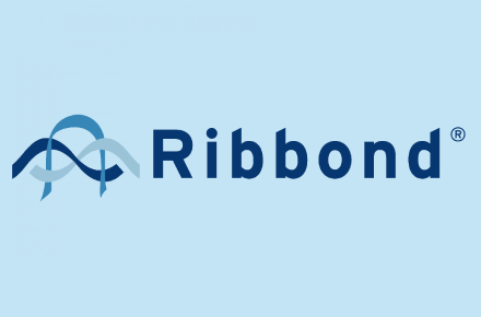 Рекомендуемые композиты для работы с Ribbond Рекомендуемые композиты для работы с Ribbond